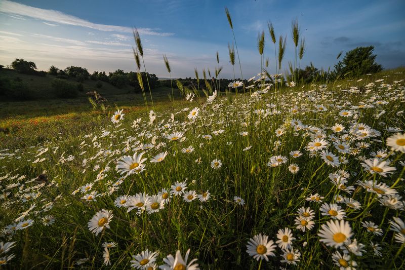 Погружение фото превью