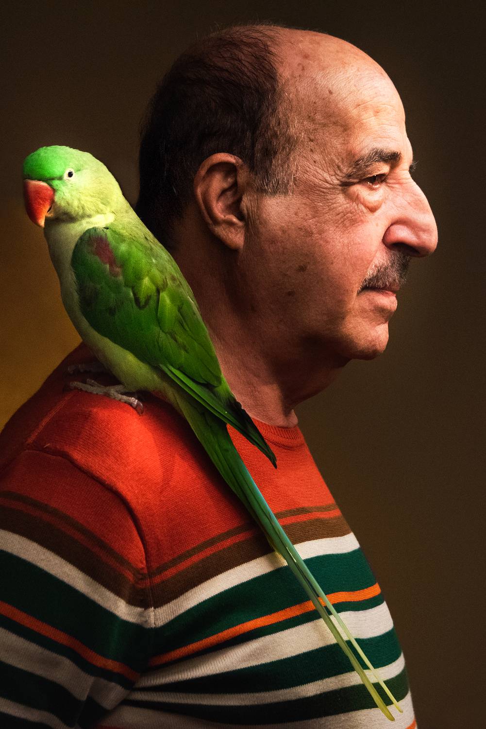 poorya rafiezade پوریا رفیعی زاده man portrait bird green two tone,  Poorya Rafiezade