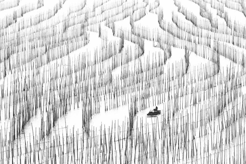 Xiapu фото превью