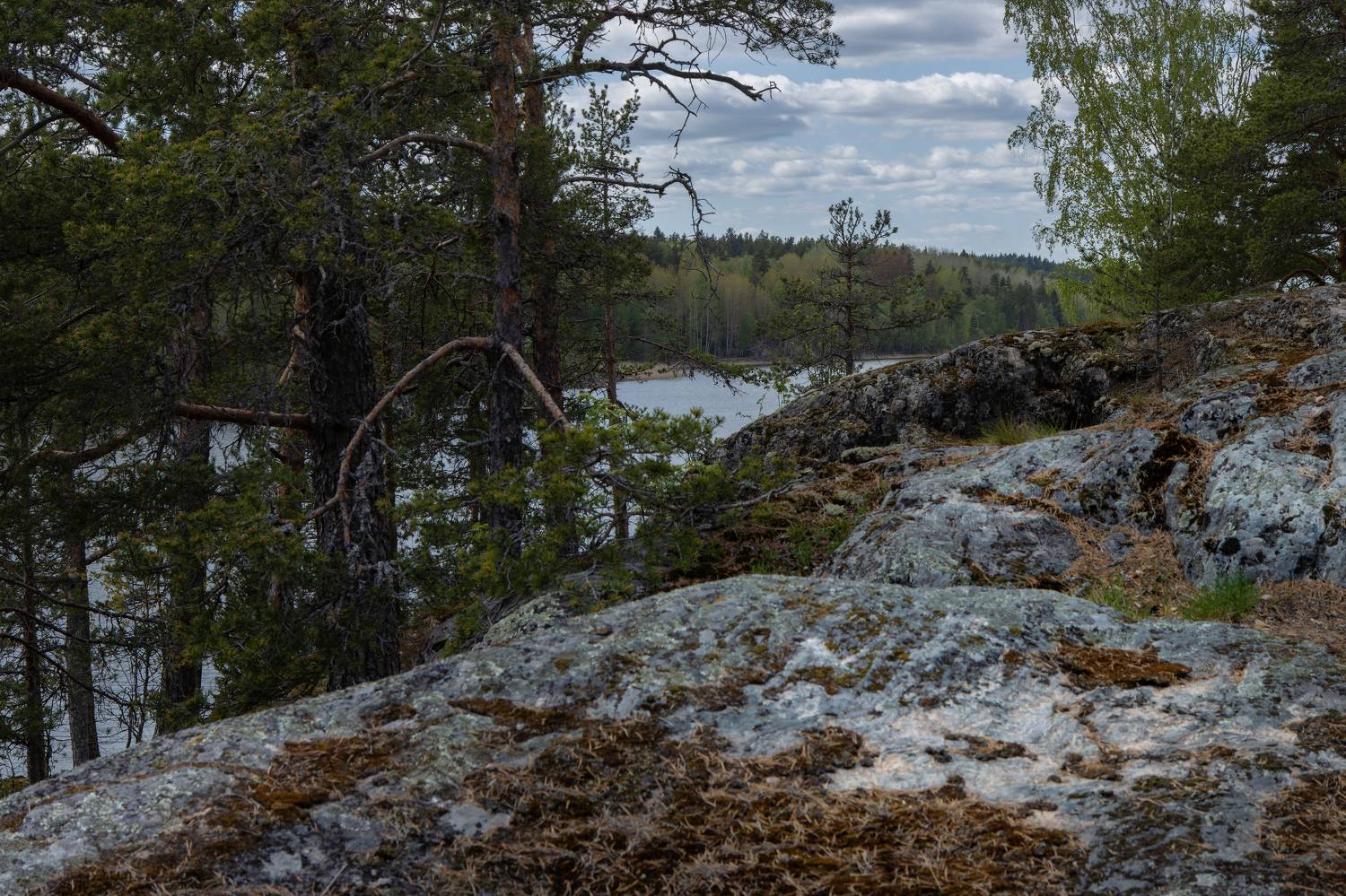 озеро, вода, камни, скалы, Светлана Холодняк