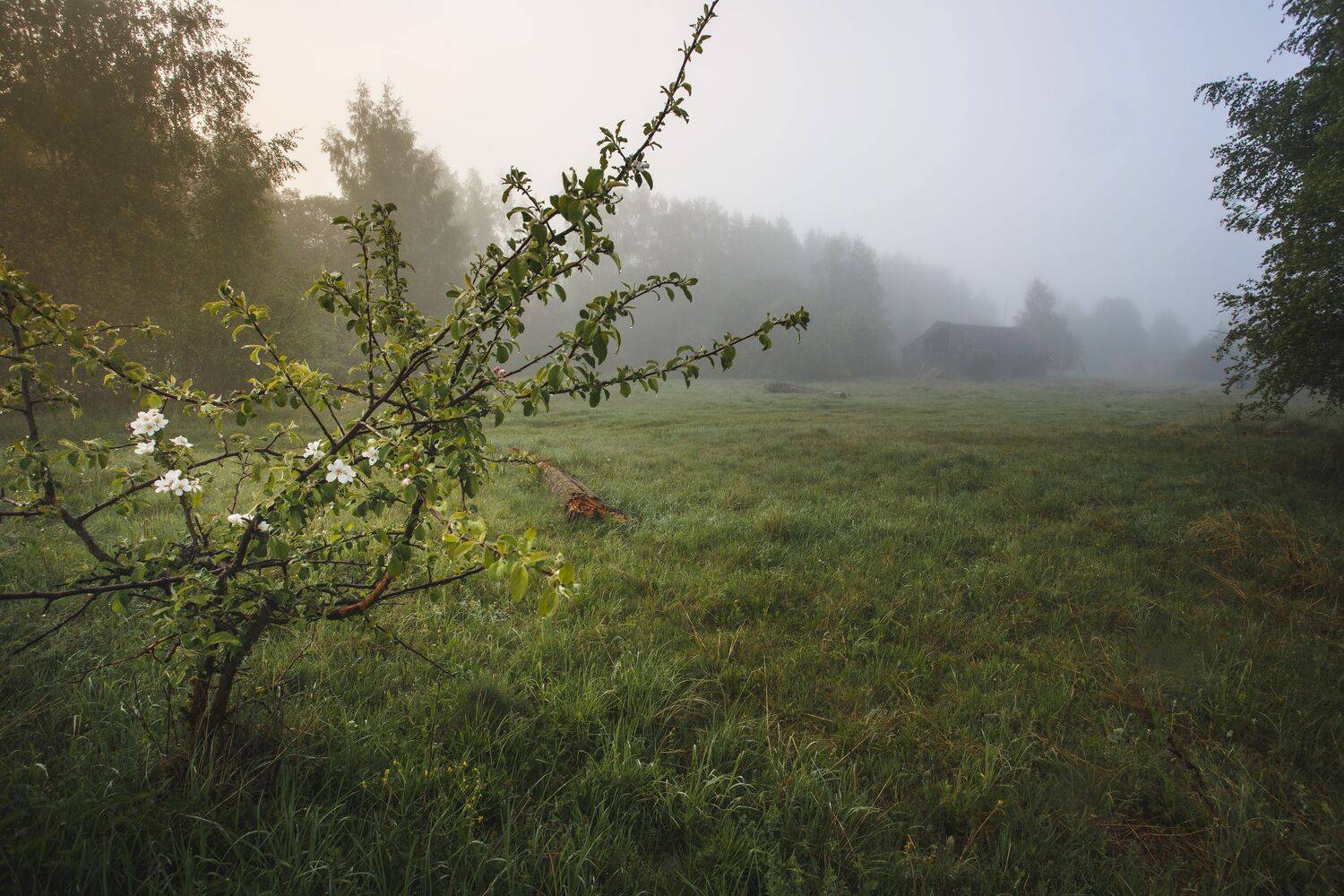 , Зеленько Дмитрий