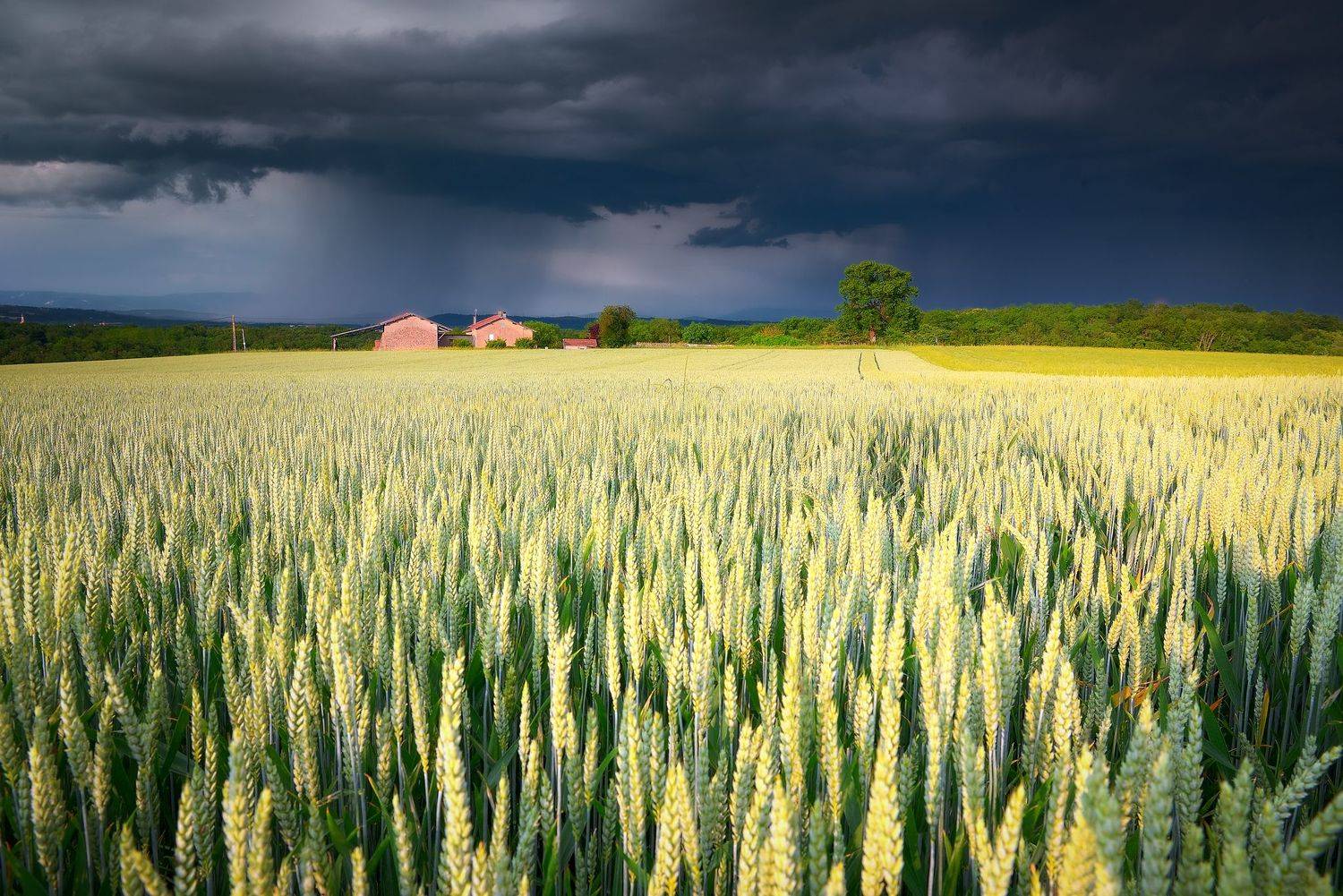 , Руслан Авдевич