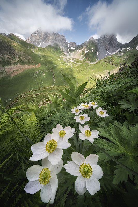 кчр, фототур, поход, яковлевфототур, загеданские, имеретинское, безмолвия, кавказ, имеретинка, загеданка Фототур в КЧР фото превью