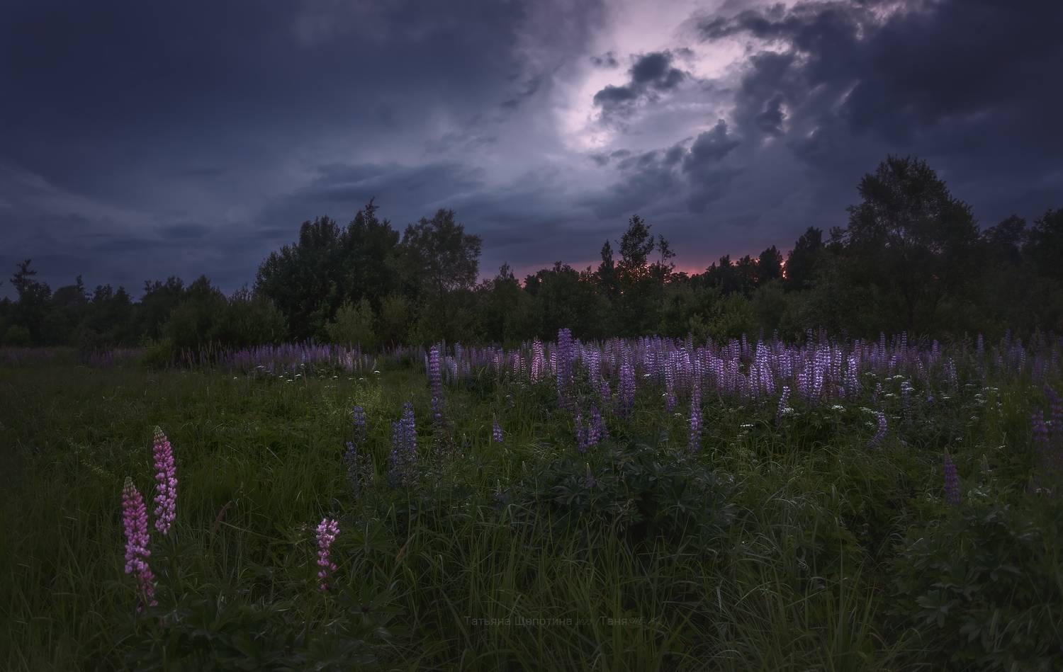 пушкин, царское, царскоесело. пейзаж, ночь, Щепотина Татьяна
