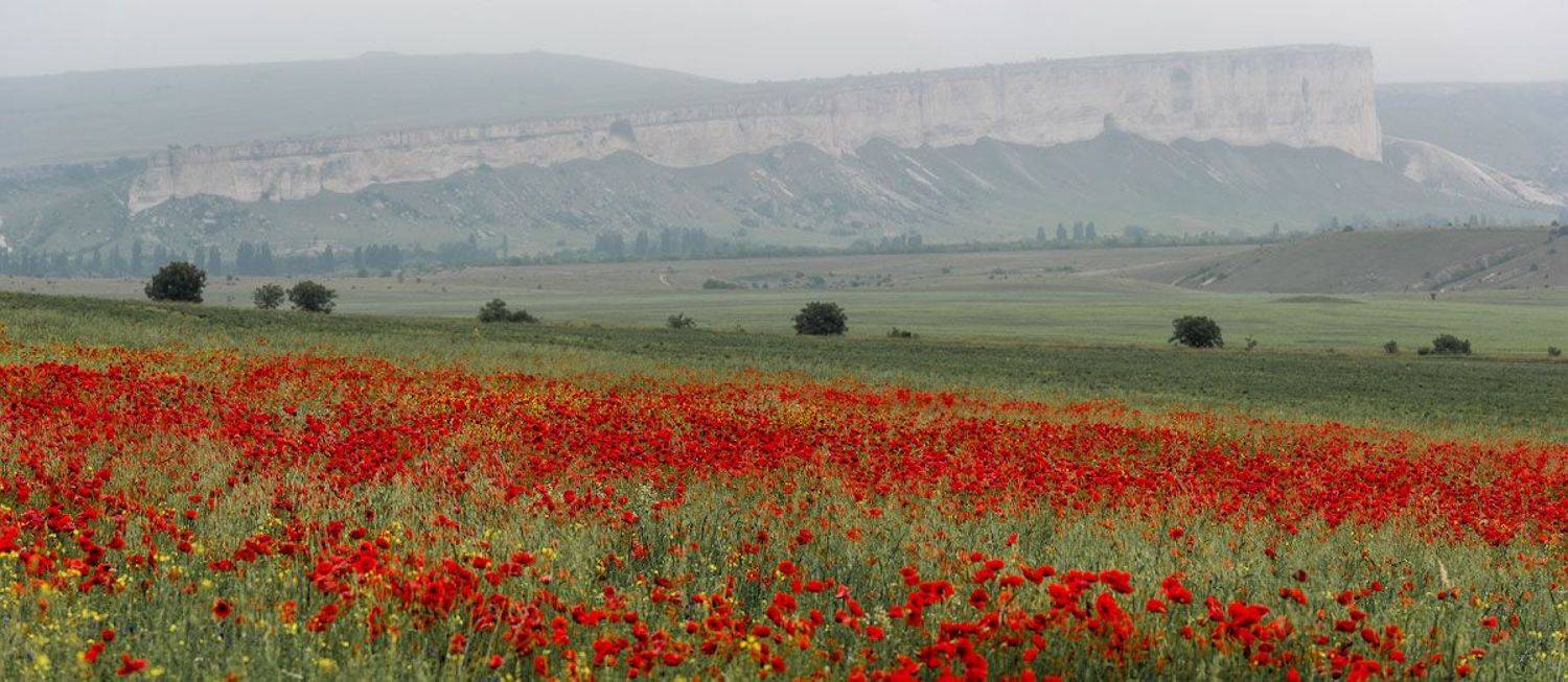 , Андрей Гусаченко