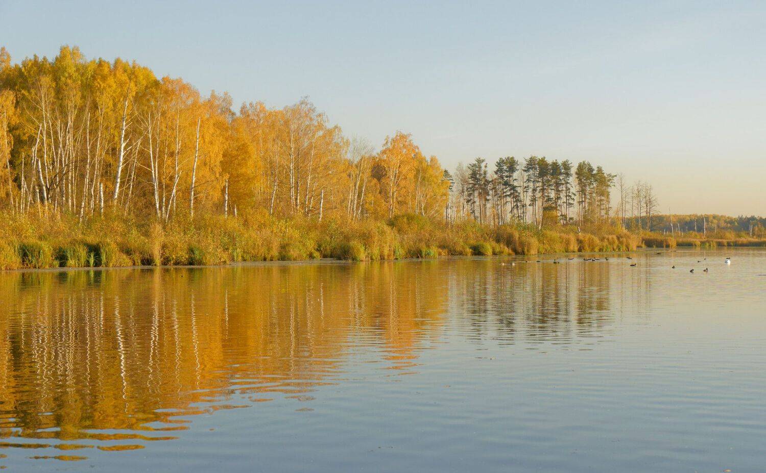 , Андрей Б