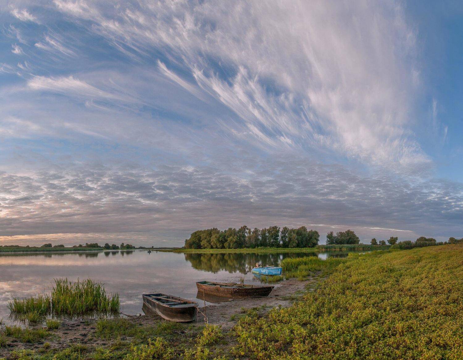 у села  камышово, Сергей цыбизов