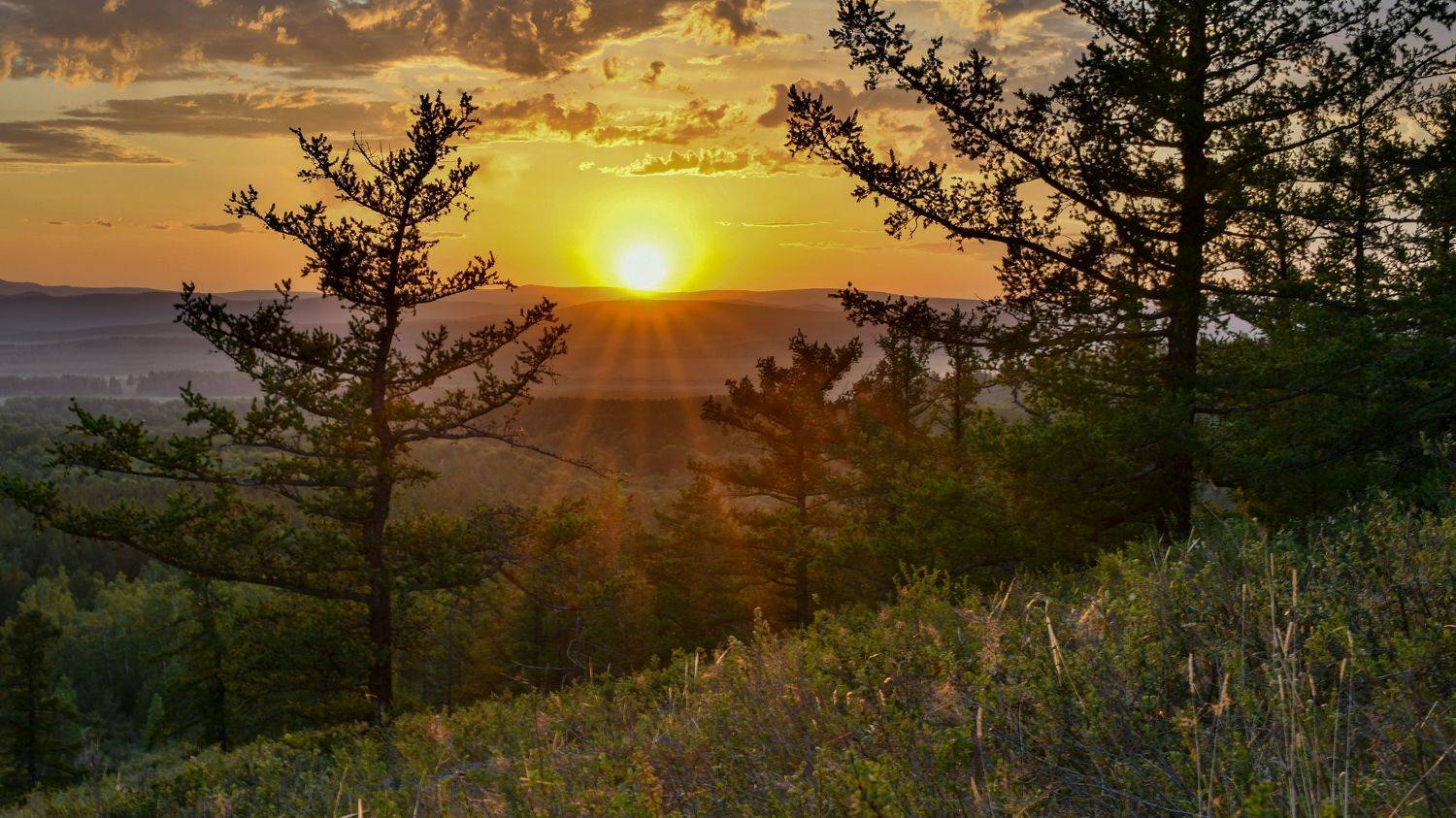 учалинский район, Таипов Ильгиз