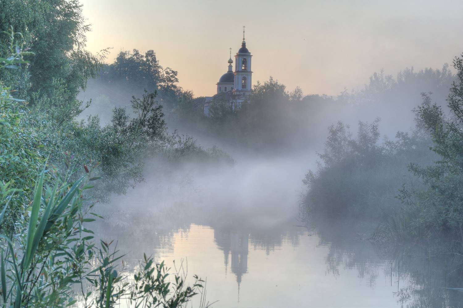 , Добролюбова Тамара