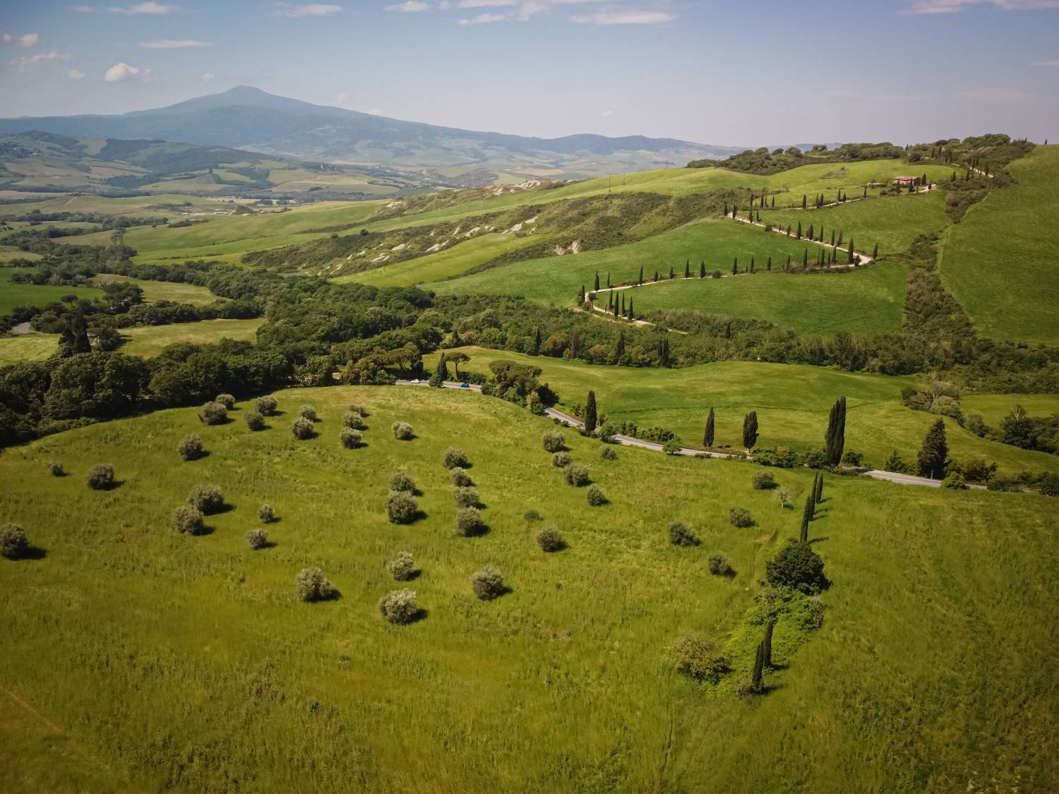 , Максимова Дария