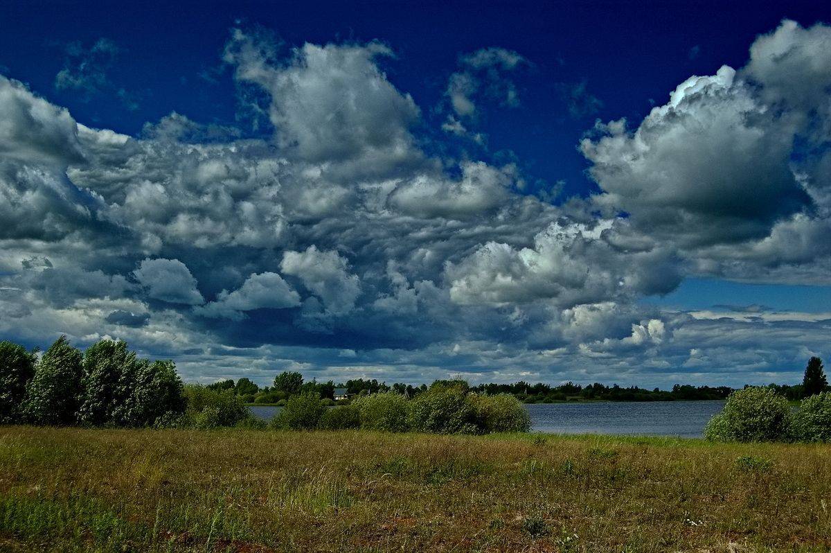 , Николаев Владимир