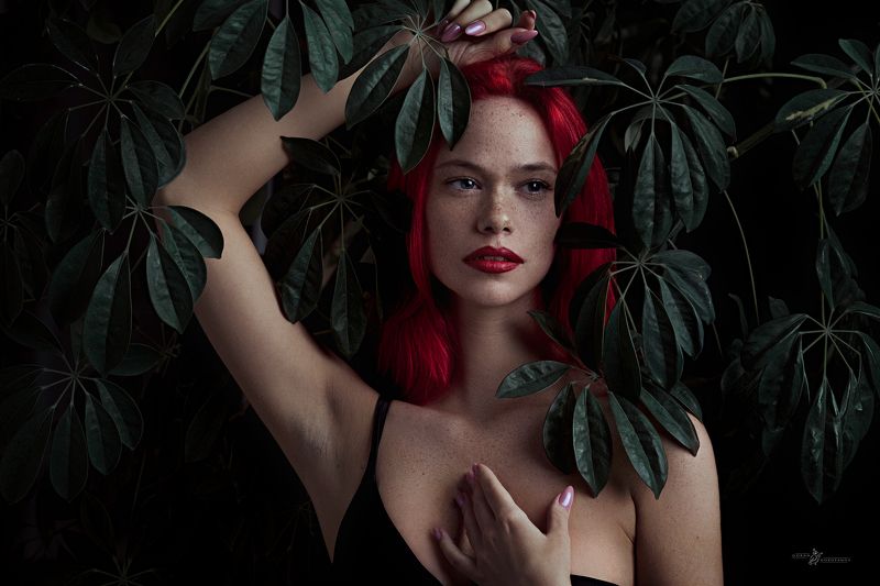 фото превью