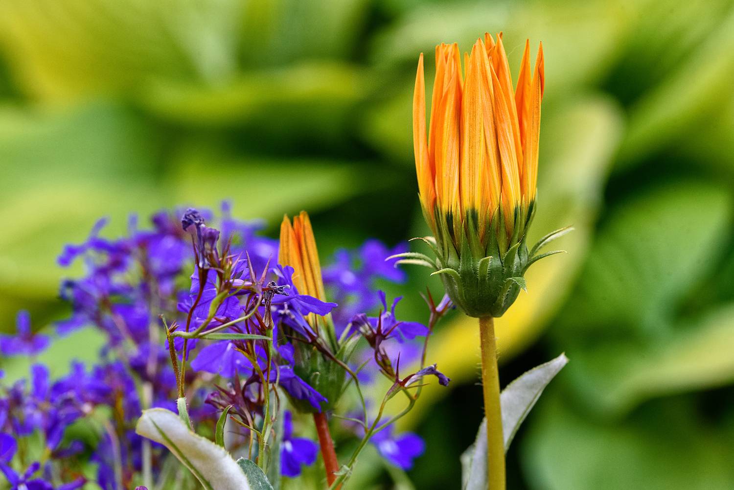 , Нуждин Андрей