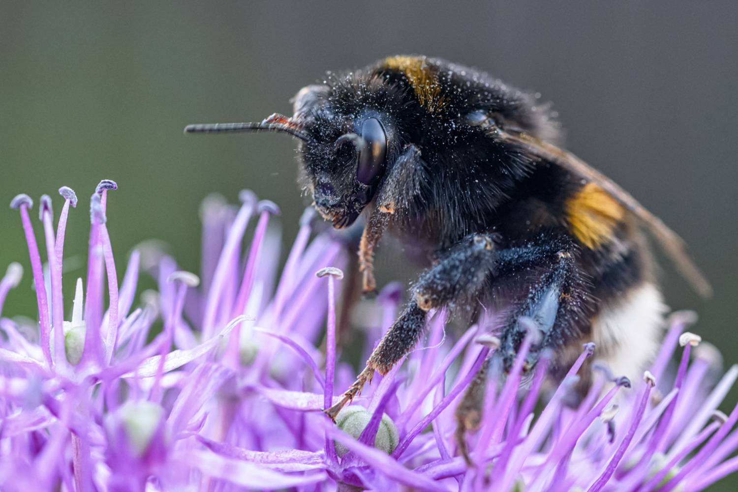 , Нуждин Андрей