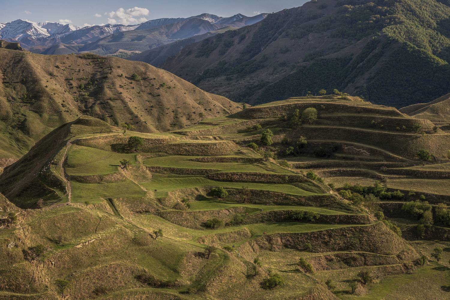Дагестан, Елена Гусева