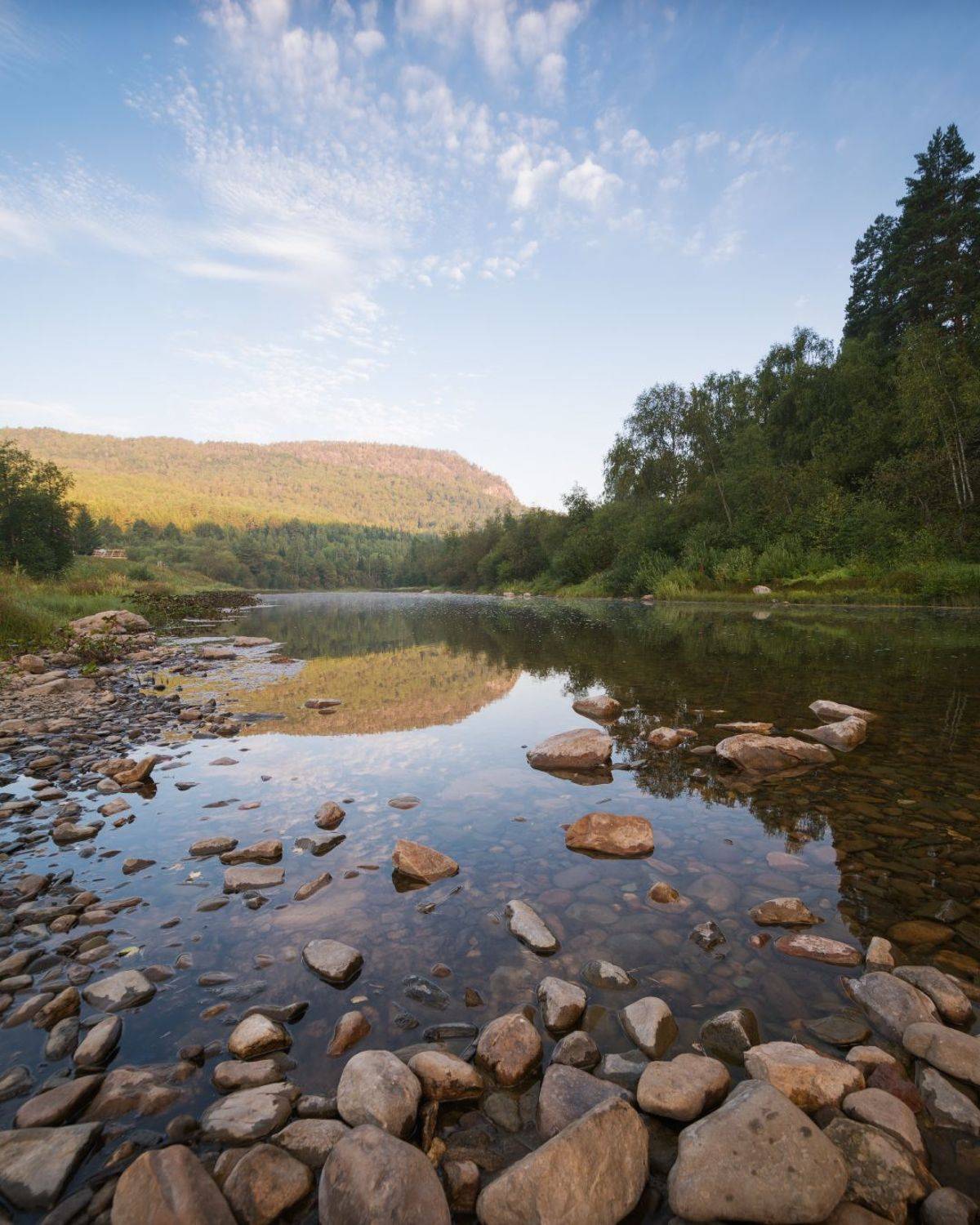 , Алексей Проняхин