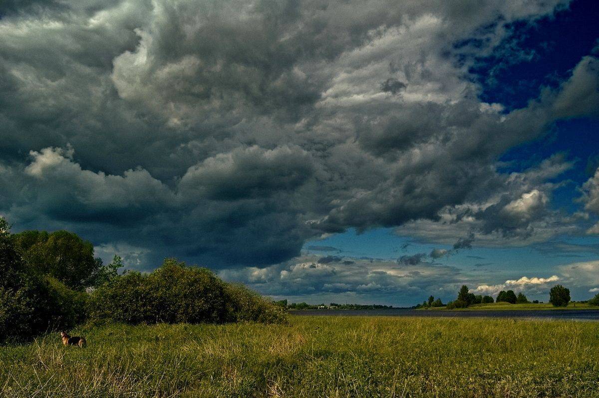 , Николаев Владимир