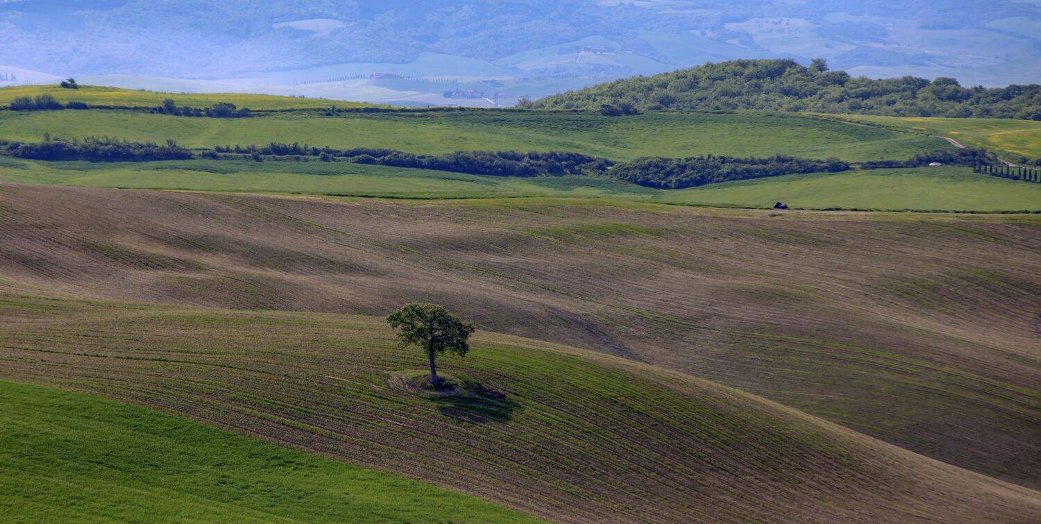 тоскана,италия, Валентина Булкина