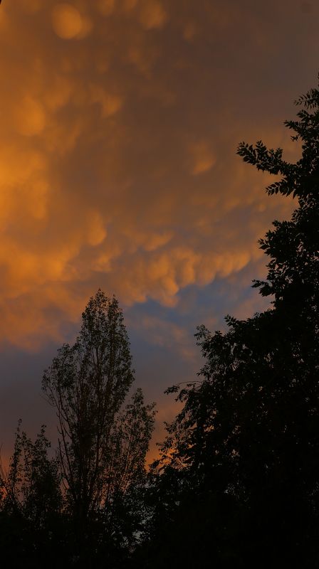 асперитас, небо, шаварёв, Асперитас фото превью