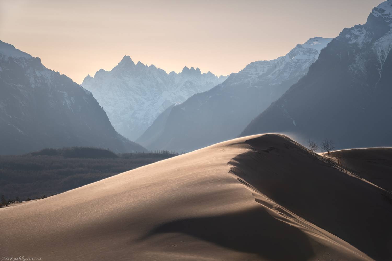 кодар, чара, чарские пески, пустыня, дюна, бархан, Арсений Кашкаров