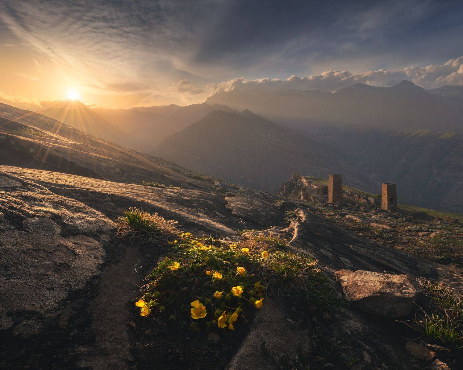 , Политова Анна