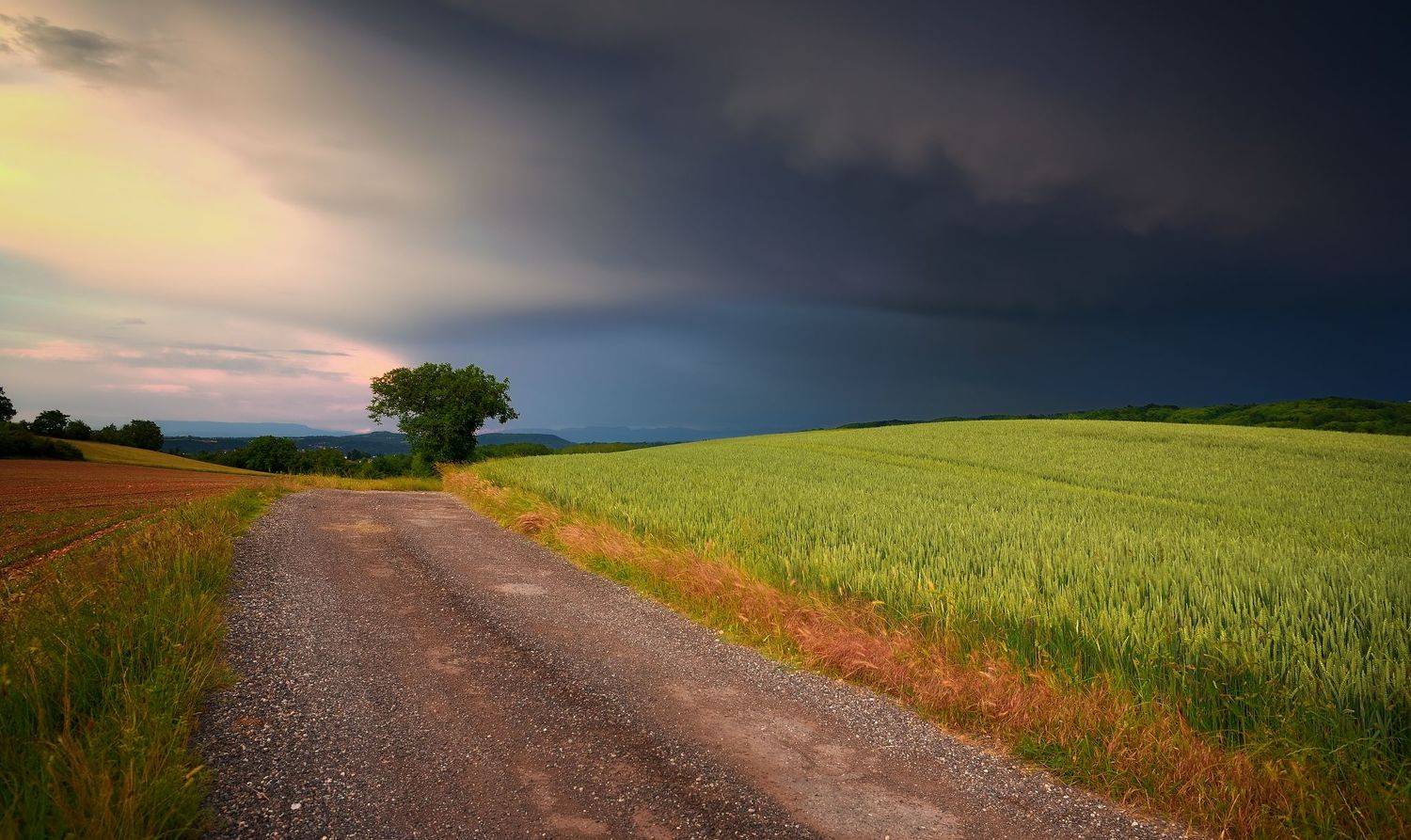 , Руслан Авдевич