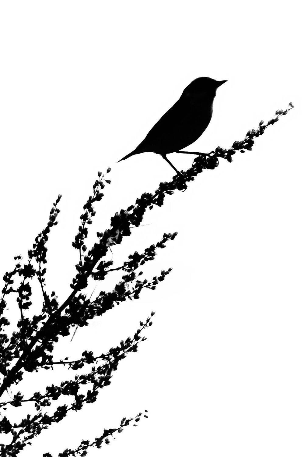 , Гильманов Артур