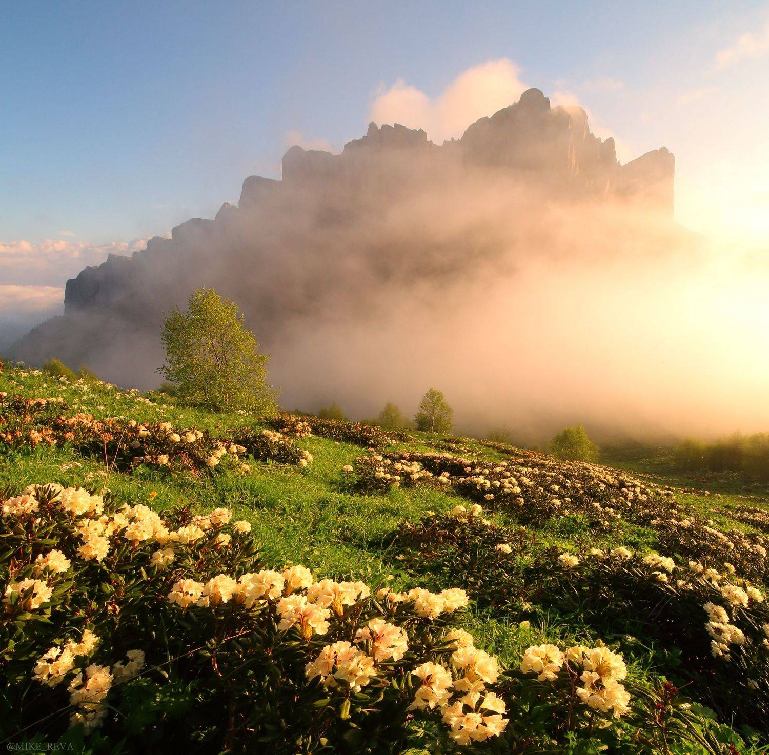 , Михаил Рева