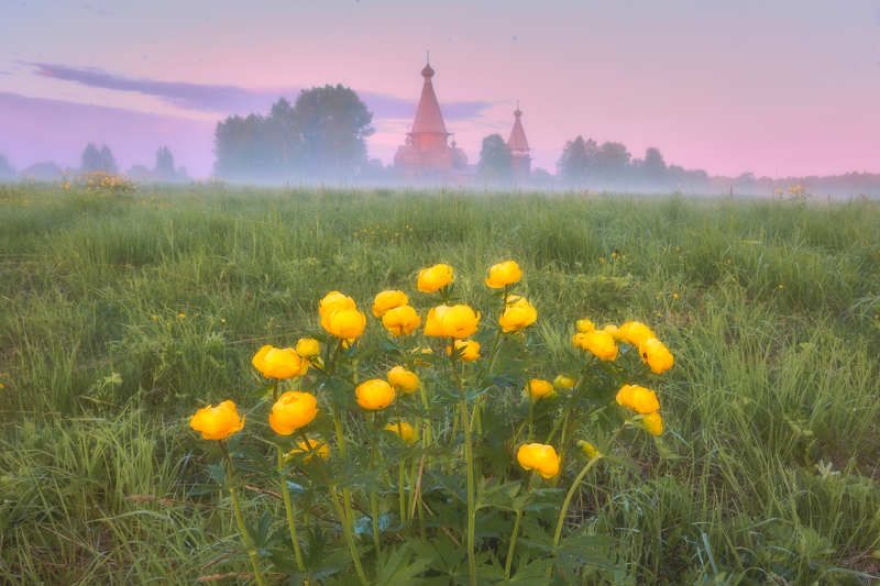 Рассвет в Кенозерье фото превью