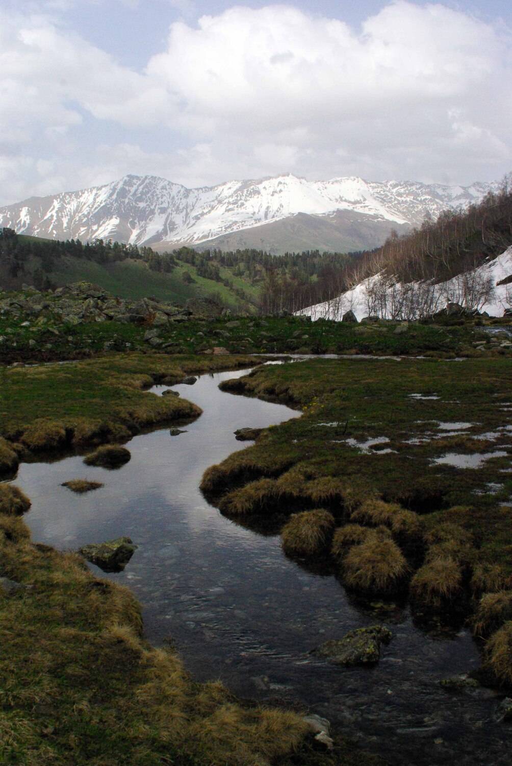 архыз, Андрей Любимов