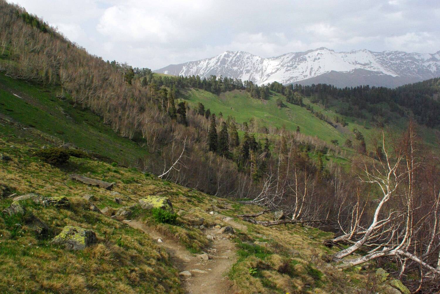 архыз, Андрей Любимов