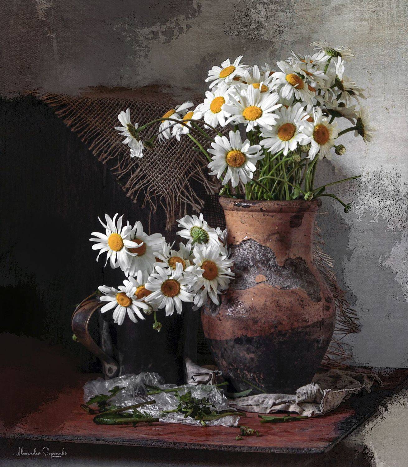 , Alexander Slepcowski