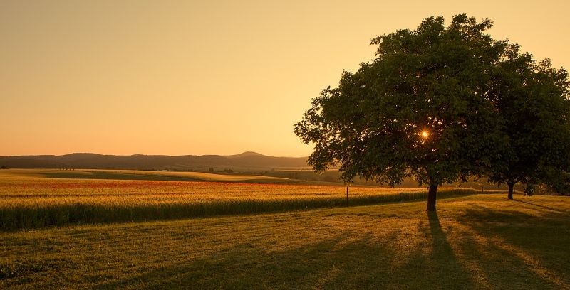 And the mornings are quiet today фото превью