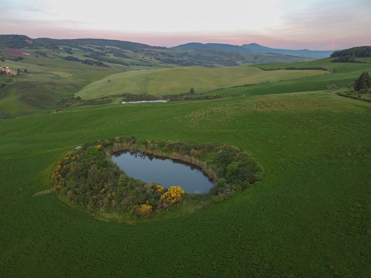 , Максимова Дария