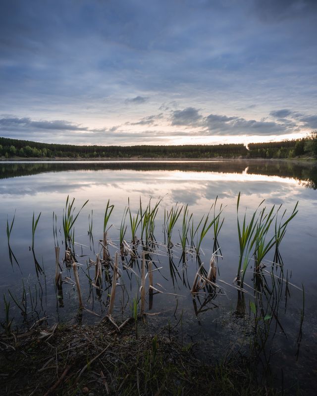 Рассвет на озере Лебяжье...  Dawn on the Lebyazhye lake… фото превью