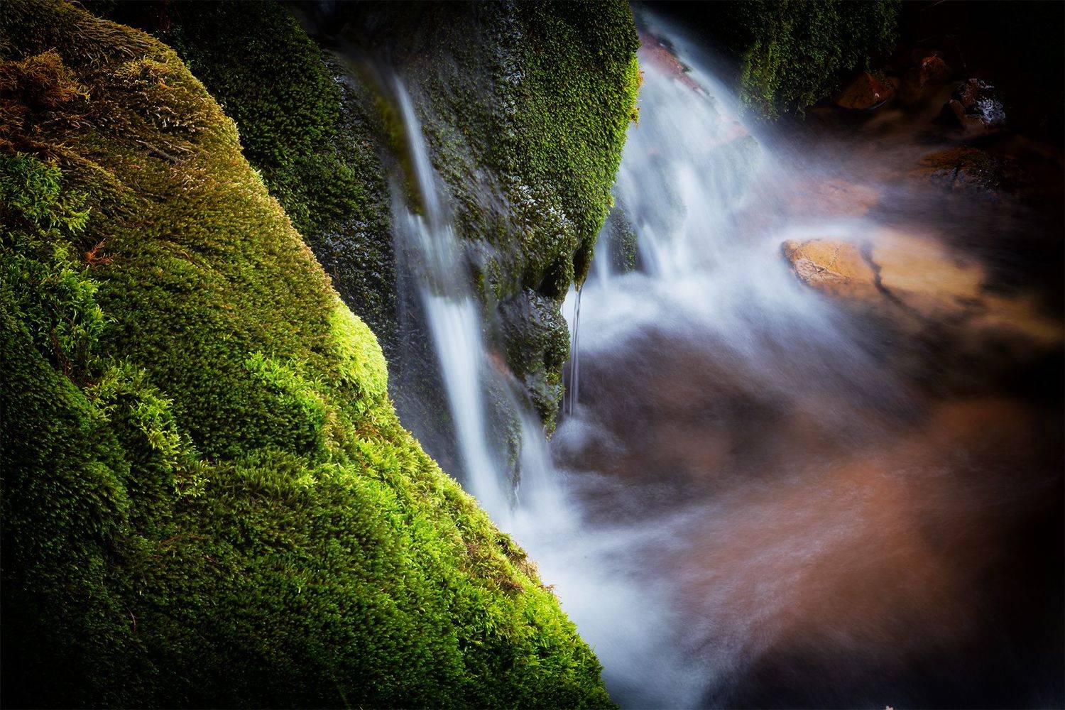 кыргызстан, Элина Магалимова