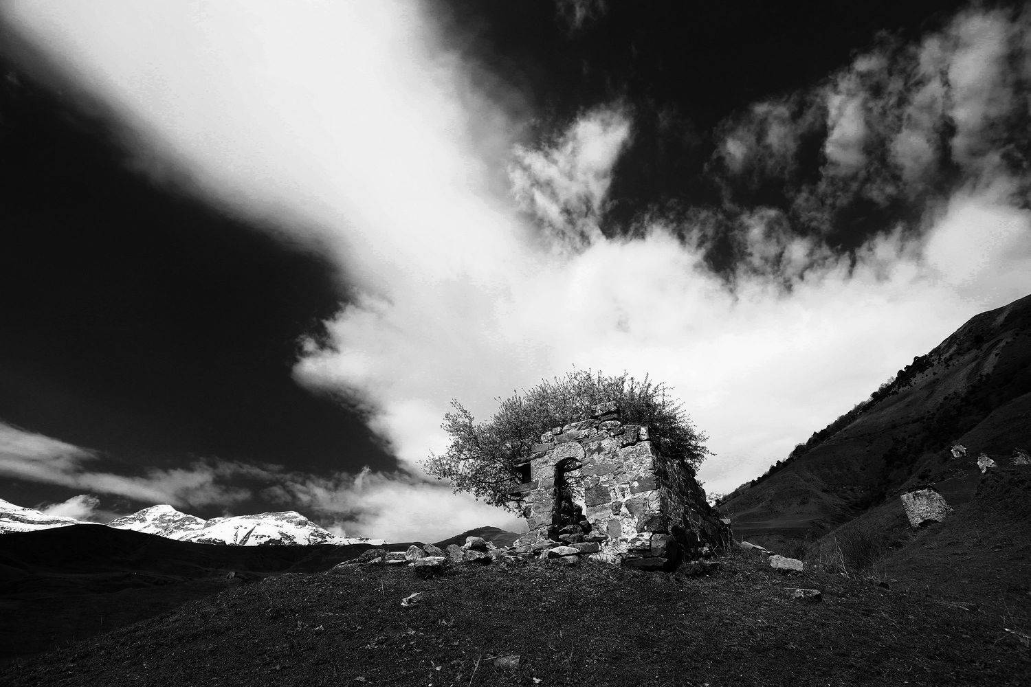 , Павел Мартюшев