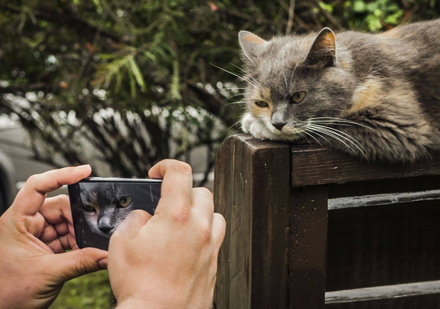 , Виктор Черкасов