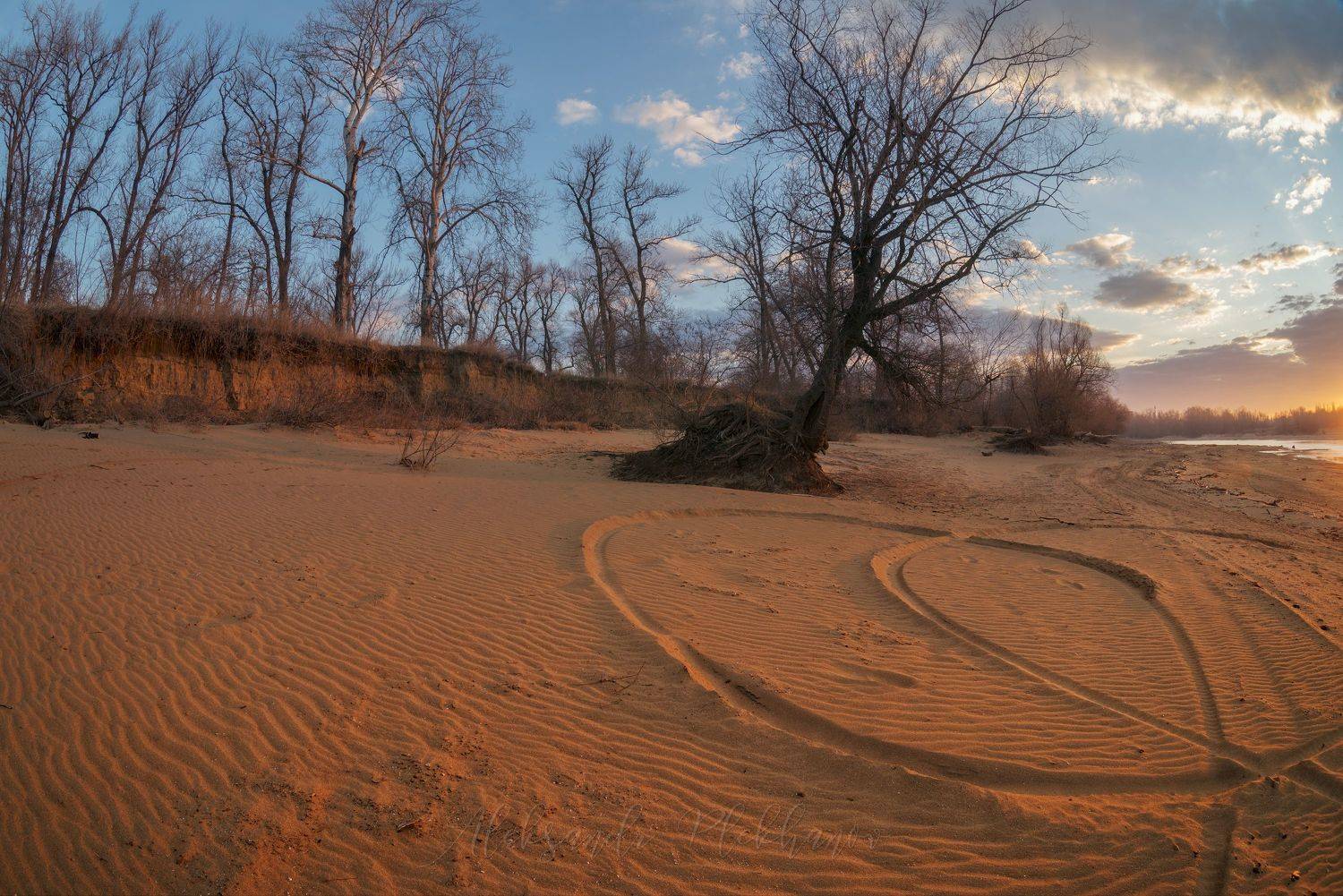 зима , рассвет , свет , тепло, Плеханов Александр