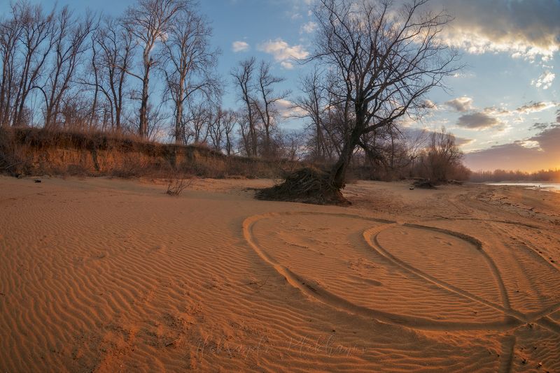 зима , рассвет , свет , тепло Берег согрет зимним рассветом фото превью