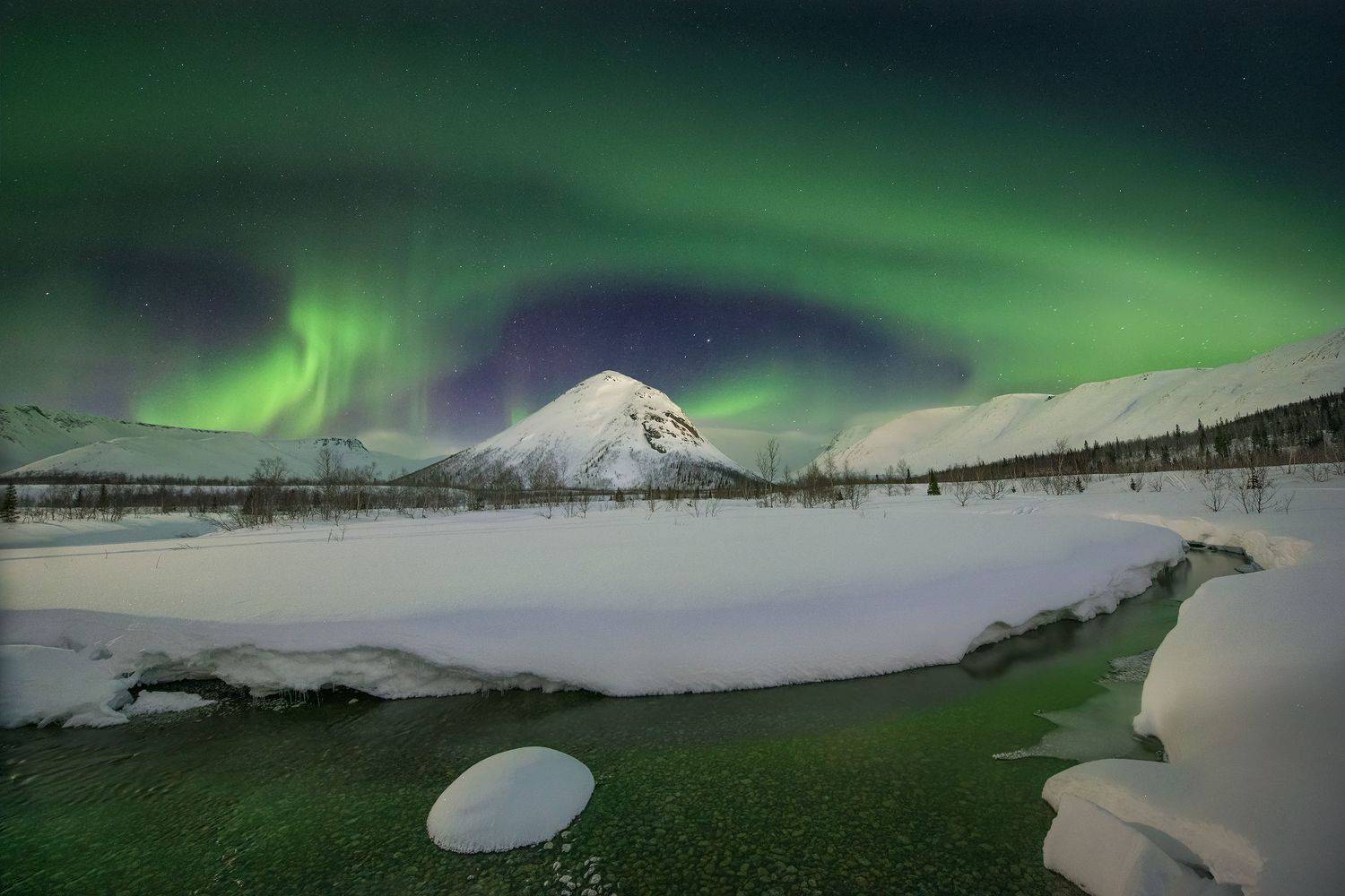 , Елена Ермолина