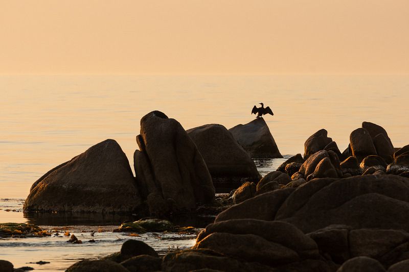 Утренняя гимнастика фото превью