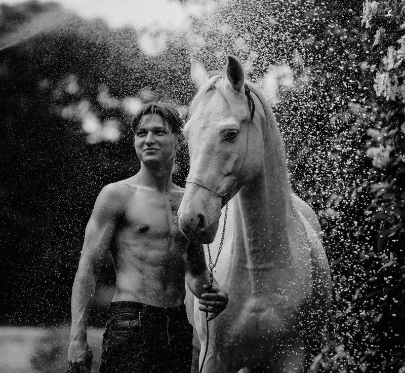 лошадь horse boy  фото превью