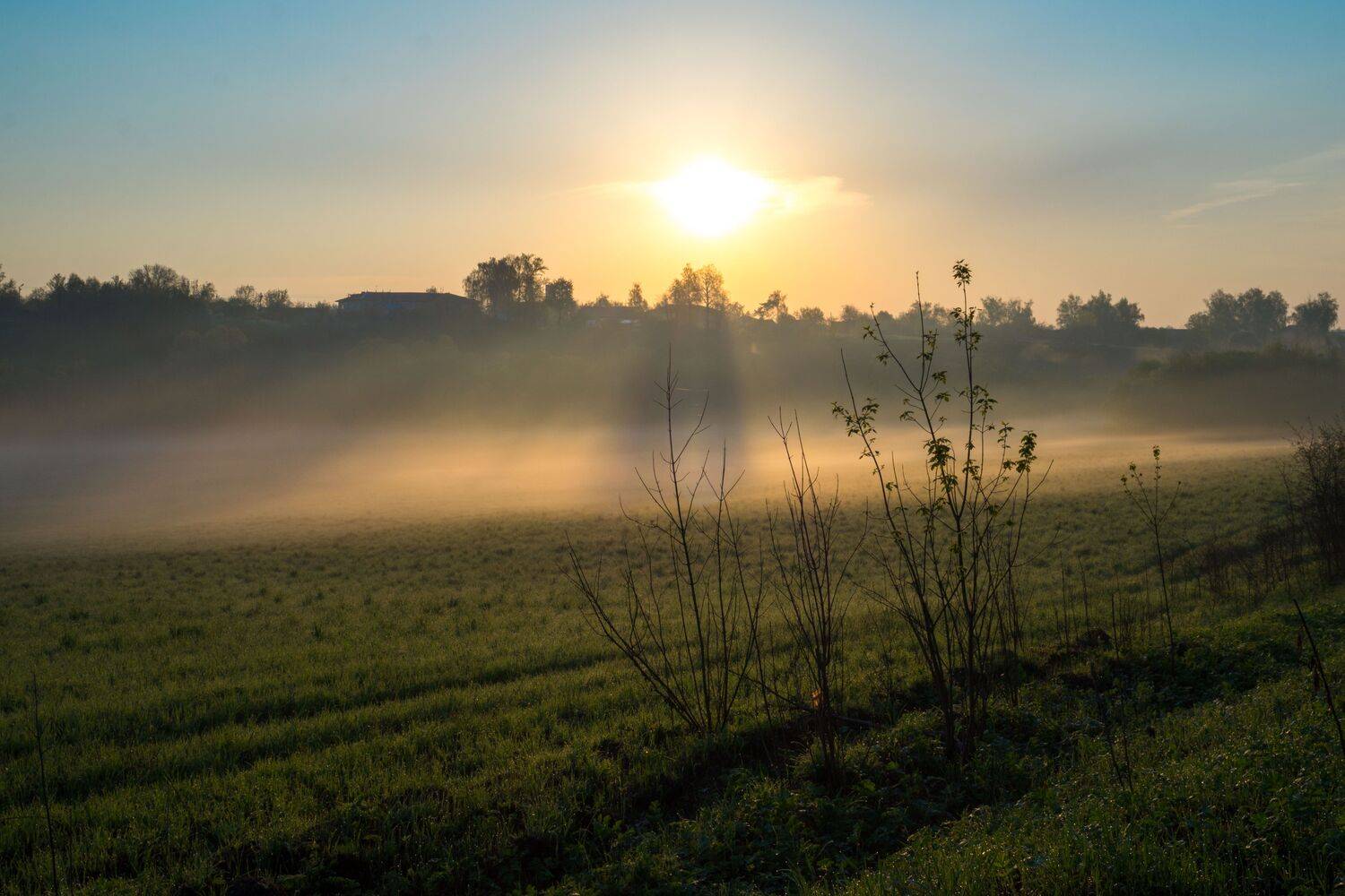 , Светлана Кондрашова