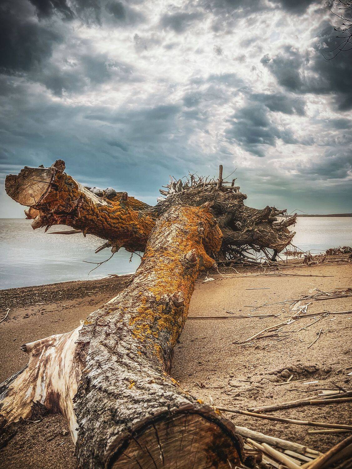 , Юлия Андреева