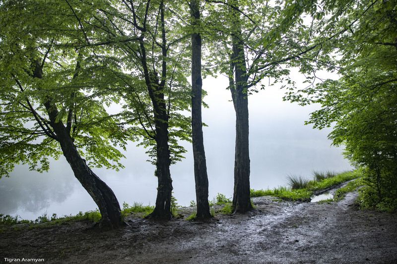 Armenia фото превью