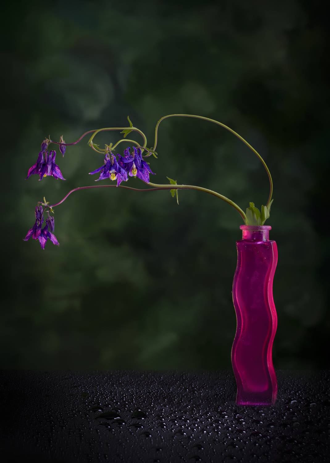 , Черновол Валентин