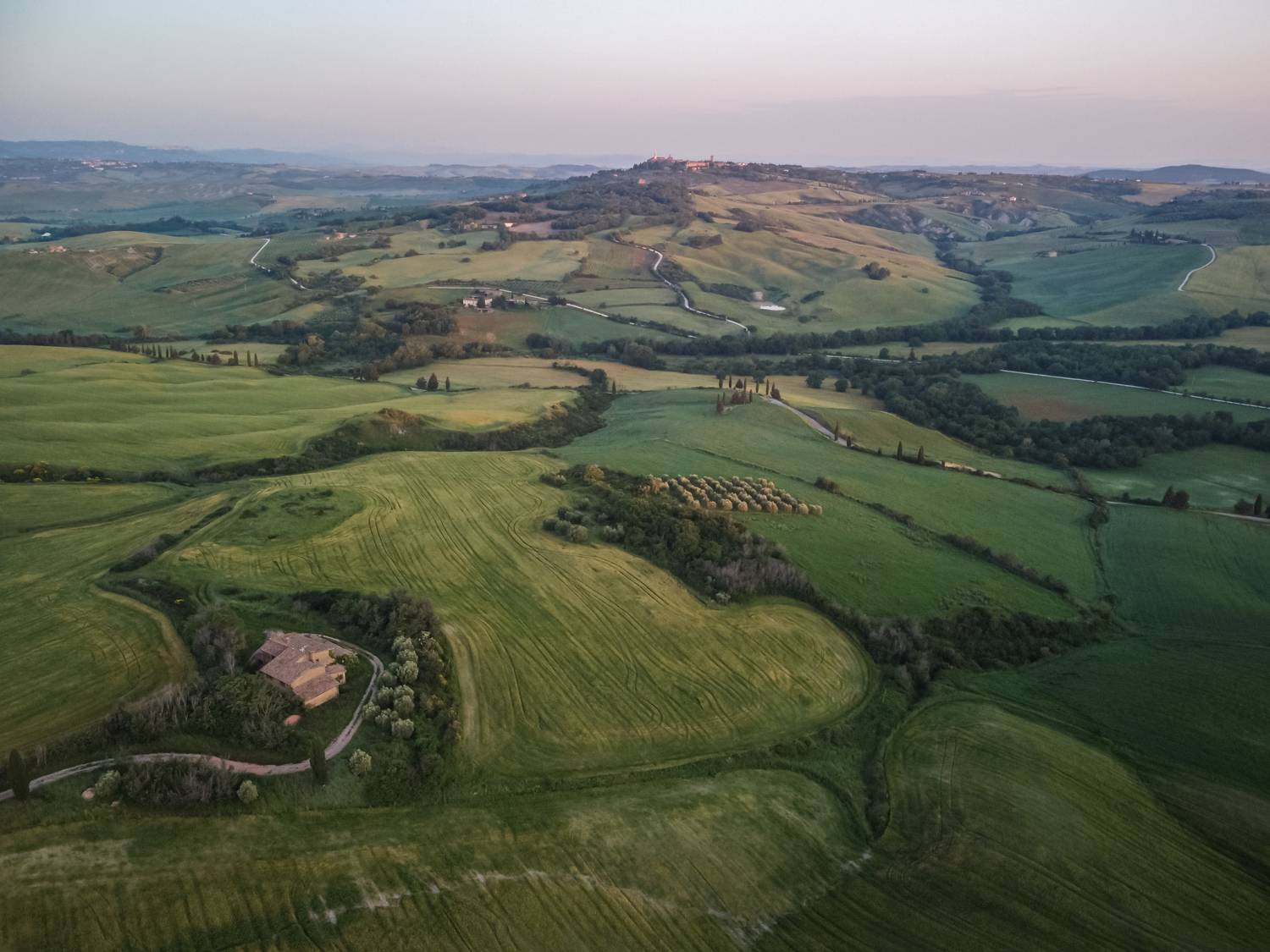 , Максимова Дария