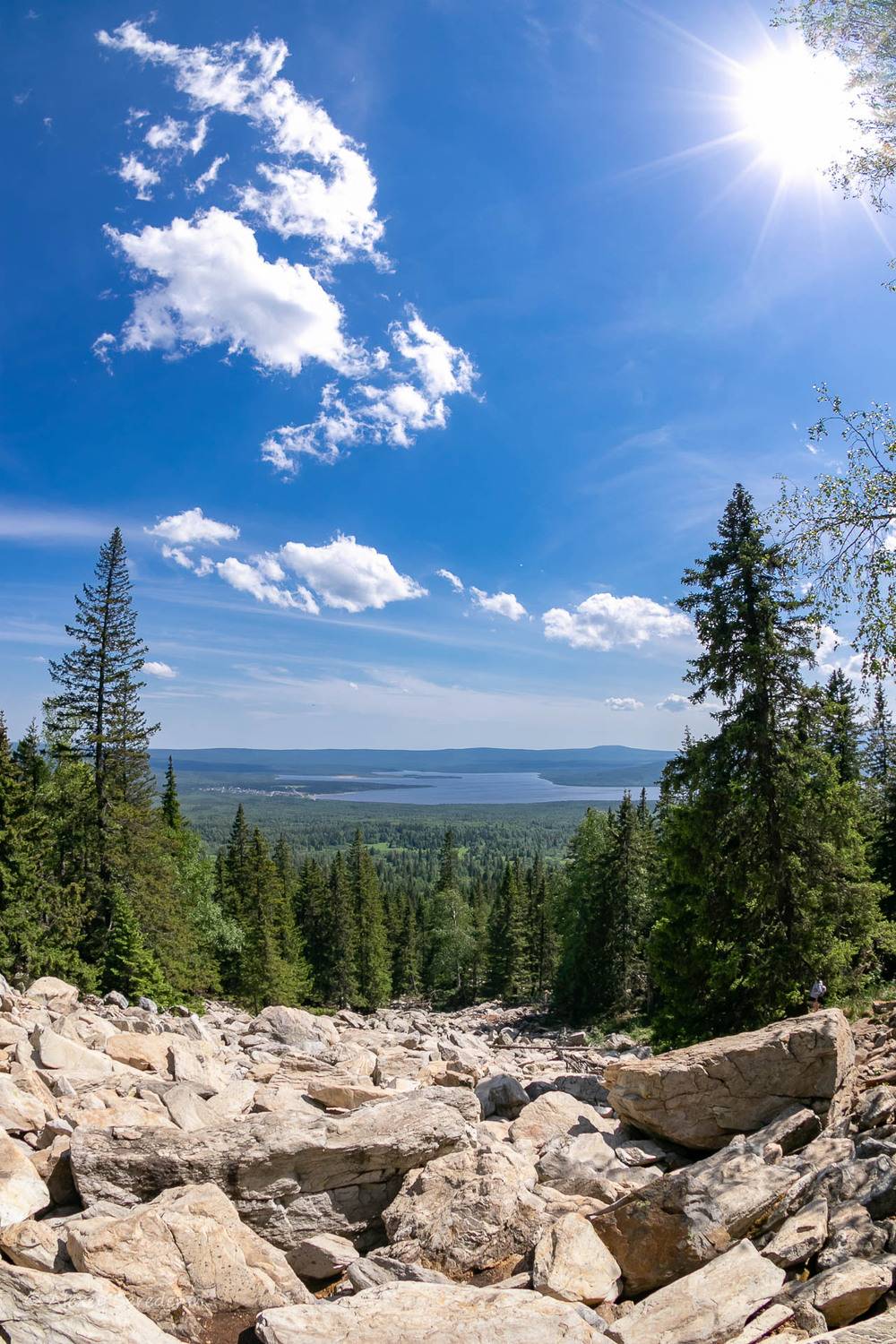 , Алексей Середенин