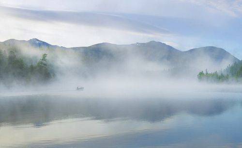 В туманное утро